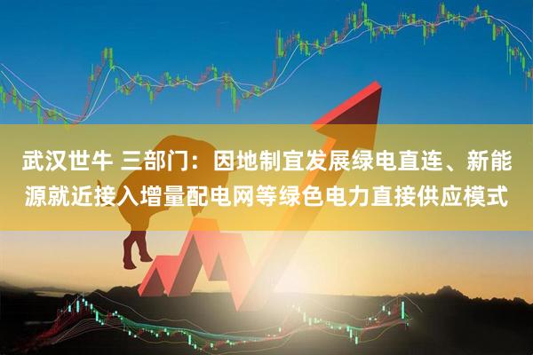武汉世牛 三部门：因地制宜发展绿电直连、新能源就近接入增量配电网等绿色电力直接供应模式