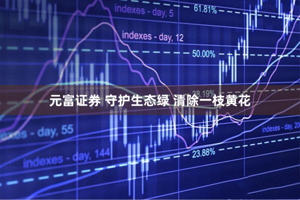 元富证券 守护生态绿 清除一枝黄花