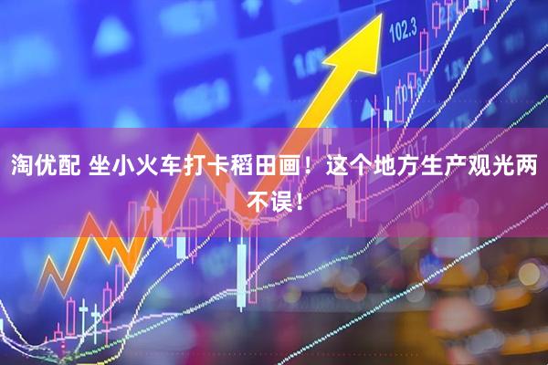淘优配 坐小火车打卡稻田画！这个地方生产观光两不误！