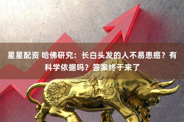 星星配资 哈佛研究:长白头发的人不易患癌?有科学依据吗?答案终于来了