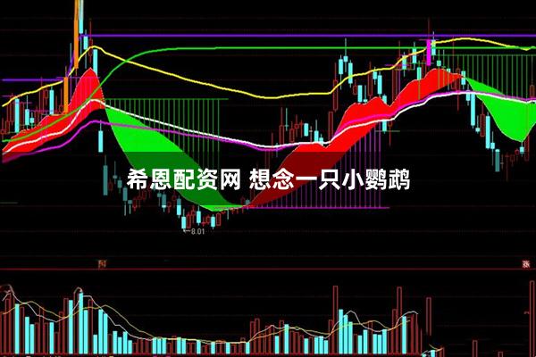希恩配资网 想念一只小鹦鹉